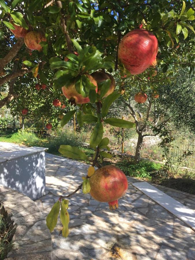 Guest House Solive Himare Rom bilde