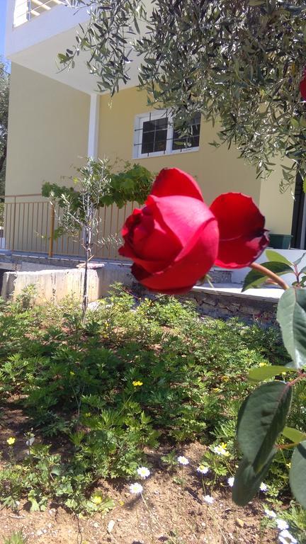 Guest House Solive Himare Eksteriør bilde